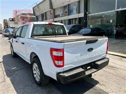 فۆرد F-150